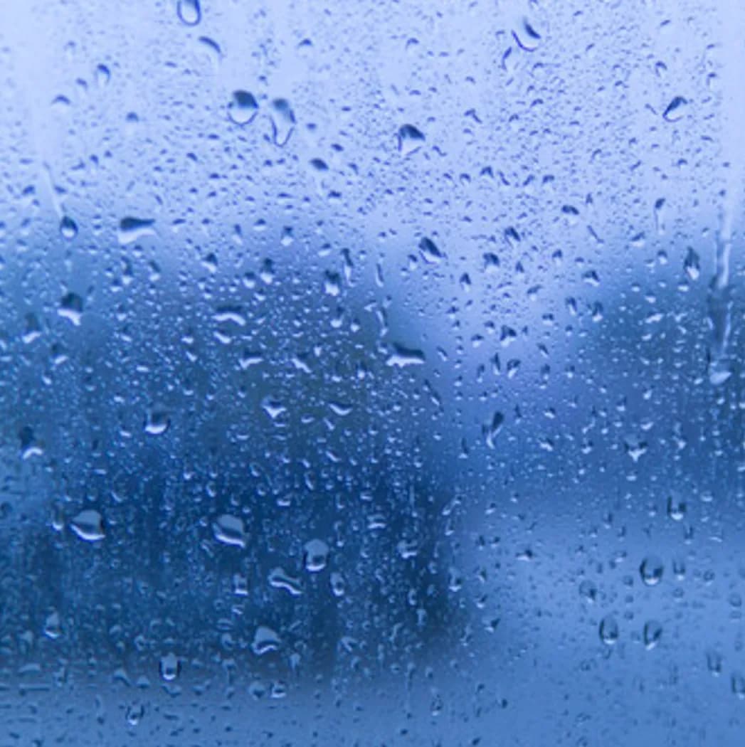 Rainy