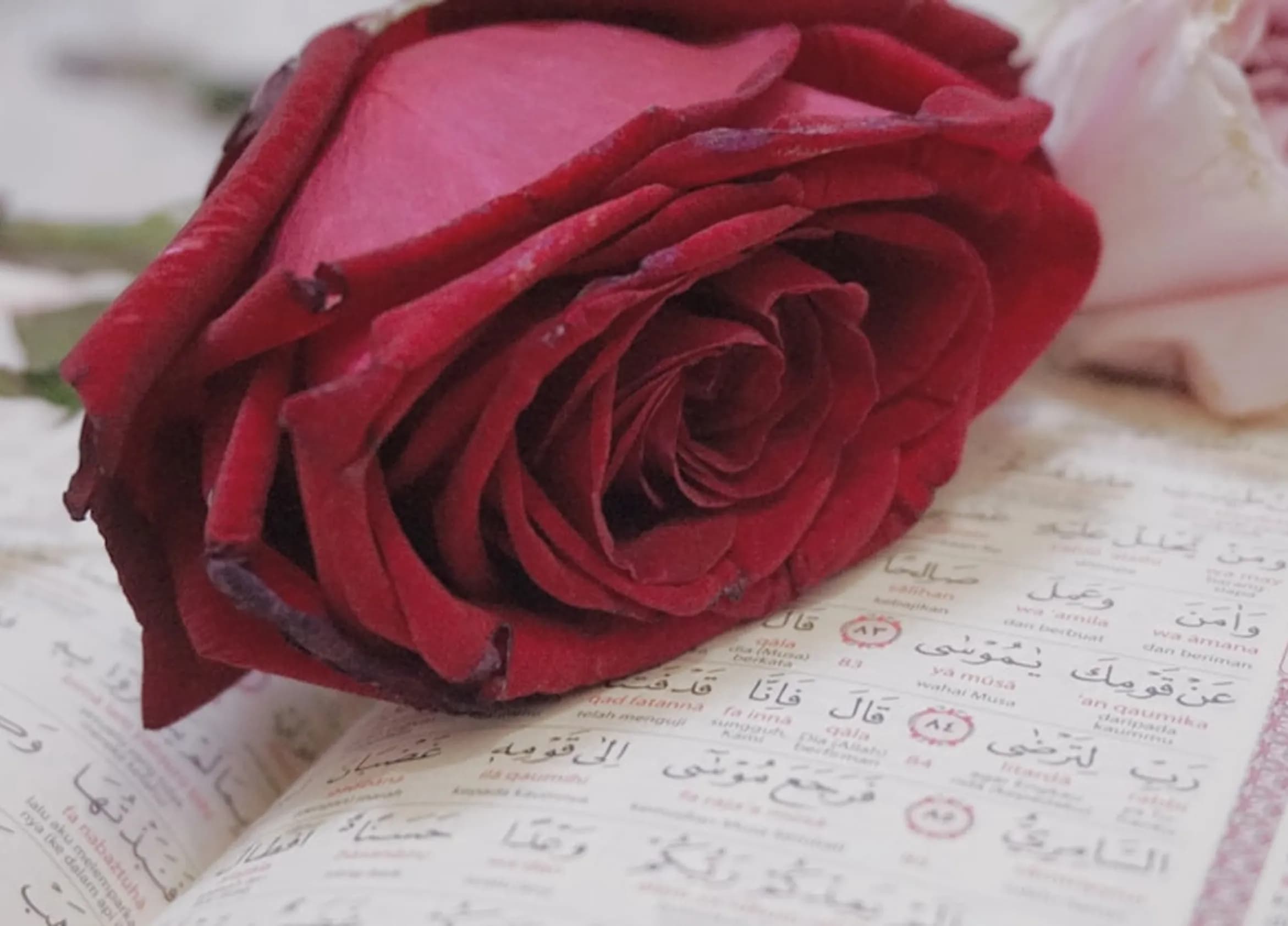 Sad love song generator to match your moods