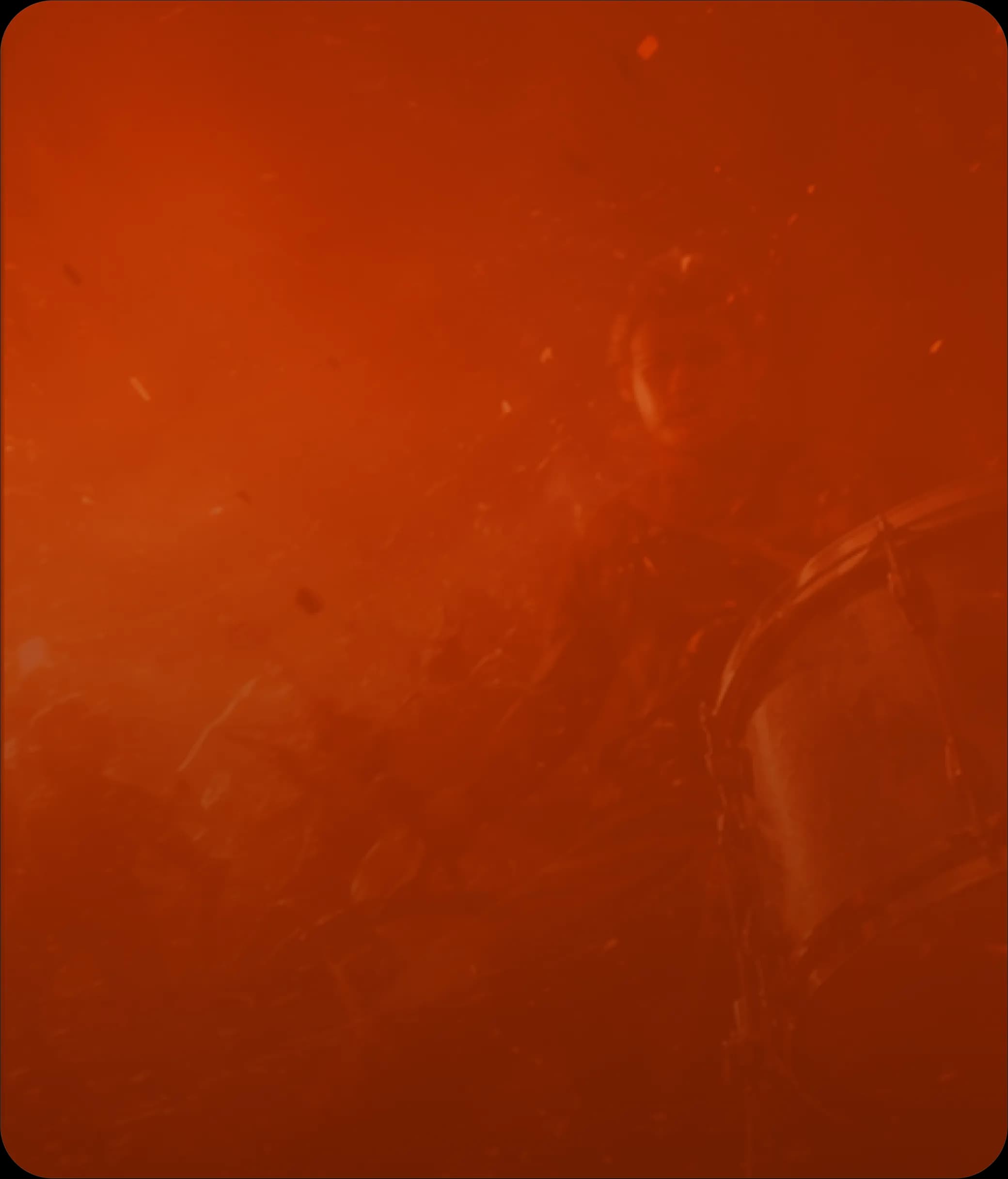 Cinematic Action